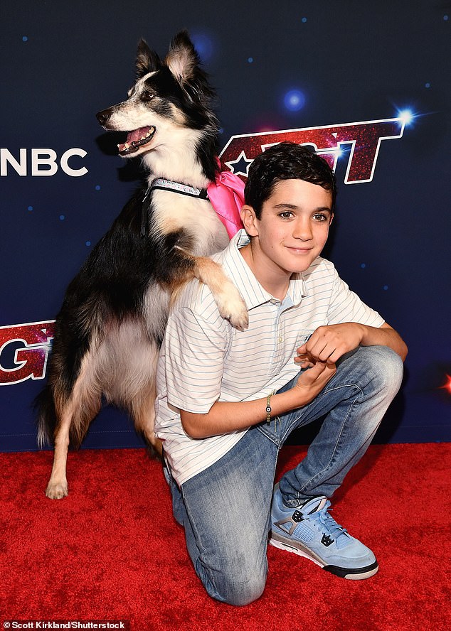 Cute: Eric, nine, was seen kneeling on the ground and grinning as adorable border collie Hurricane - who won America's Got Talent with his owner - jumped on his back for photos