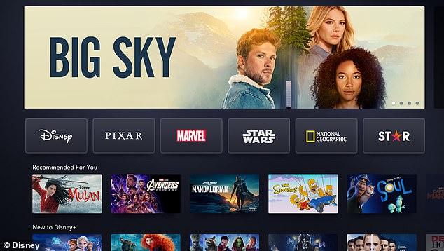 In addition to a huge back catalog of Disney films, the offering on Disney+ includes The Simpsons, Star Wars and Marvel films such as The Avengers