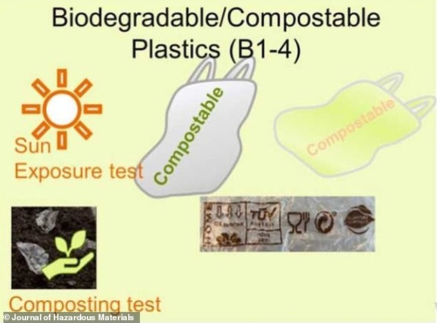 Researchers analyzed three types of bags: a compostable plastic bag made from vegetable starch, a recycled plastic bag and a conventional plastic bag.  They exposed them to sunlight to help them break down, and then exposed them to fish cells