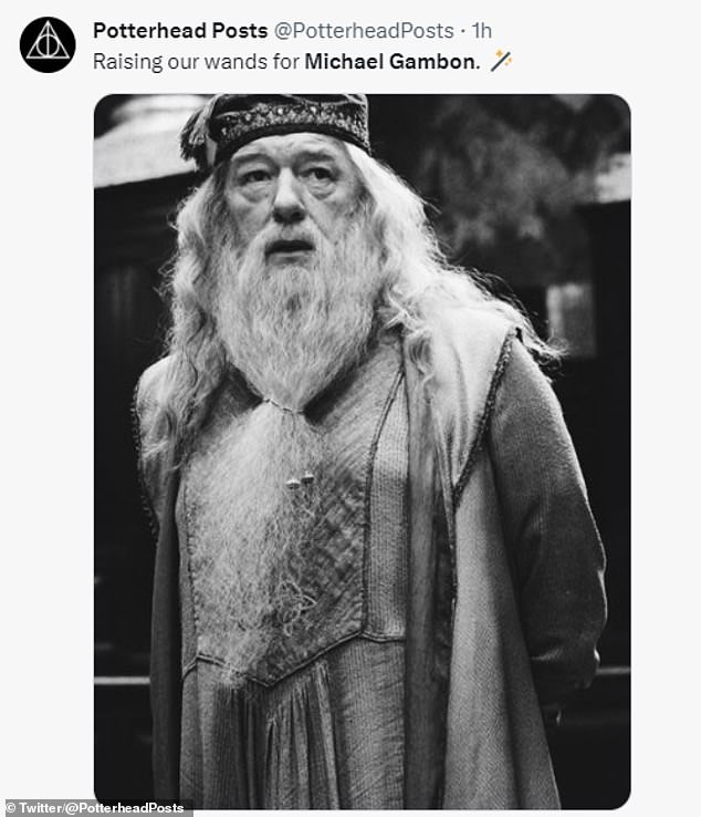 1695922180 511 Harry Potter fans remember Dumbledore after Sir Michael Gambons death