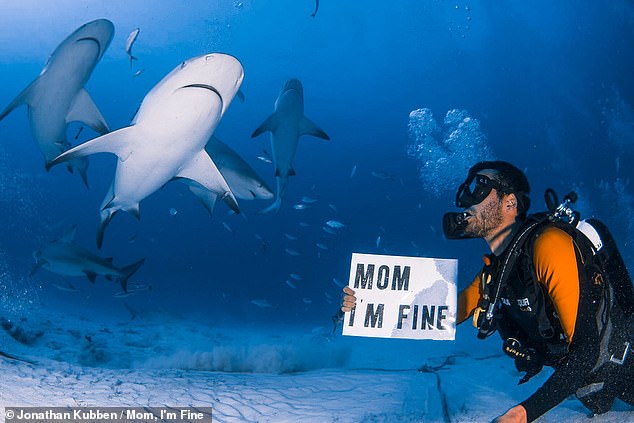 Perhaps one of the more daring photos shows Jonathan swimming with sharks off the coast of Playa del Carmen, Mexico