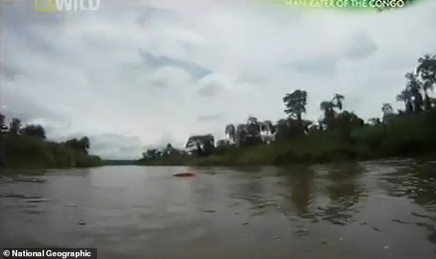 The Lukuga River is infamous for the high density of crocodiles and hippos that live in the area