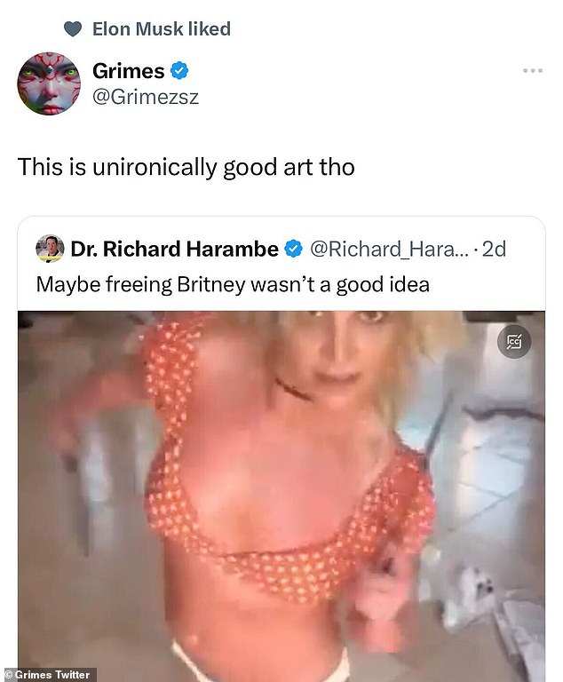 Defending Britney: In response to a social media user who said 'freeing Britney might not have been a good idea', Grimes hit back in defense of the 41-year-old pop star