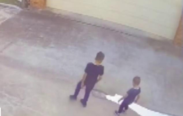 CCTV footage shows Vo returning to the lane where the vehicle suddenly accelerated and hit three parked cars and the two children (pictured)