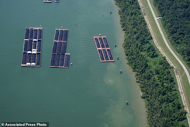 A saltwater wedge slowly moving upstream from the Gulf of Mexico, due to unusually low water levels in the river, could threaten municipal water supplies, possibly even New Orleans