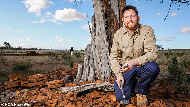 UNSW palaeontologist Dr.  Matthew McCurry said only four spider fossils have been found in Australia.  Image: Supplied/Australian Museum/Salty Dingo