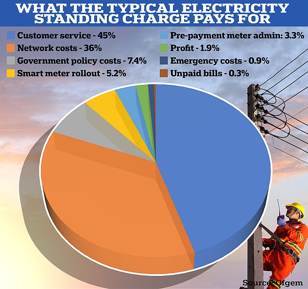 Breakdown: the standing charge for electricity pays for things such as customer service and the costs of managing the electricity network and operating meters