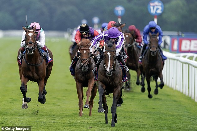 Aidan O'Brien's only Arc runner Continuous roared home at the St Leger earlier this month