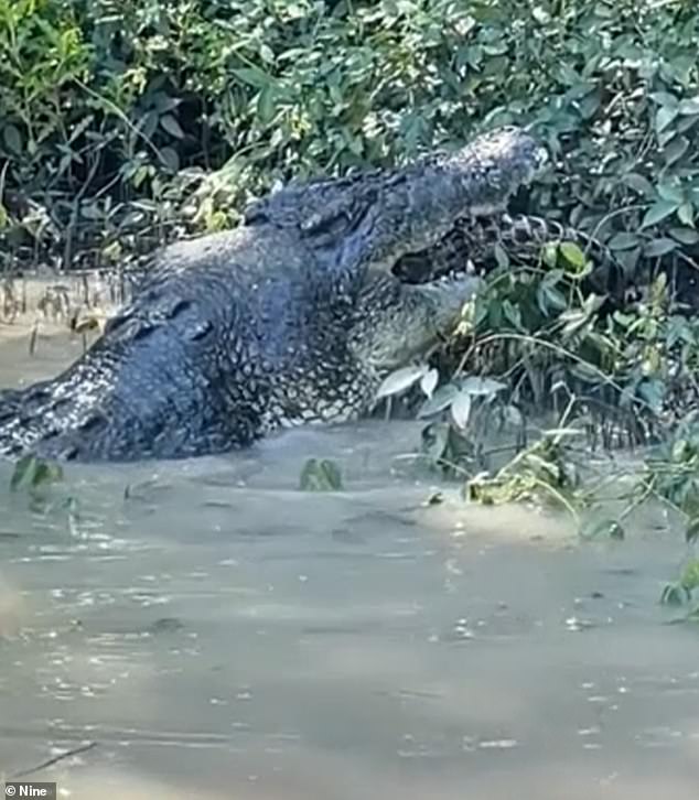 Tourists on a river cruise in the Northern Territory were left scared after seeing a six-metre crocodile eat a smaller crocodile a meter away from their boat.