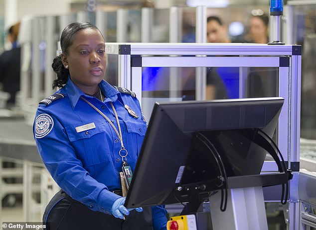 More than 95 percent of TSA agents — about 58,000 — will be hired without pay.  Pictured is a TSA agent in Miami, Florida