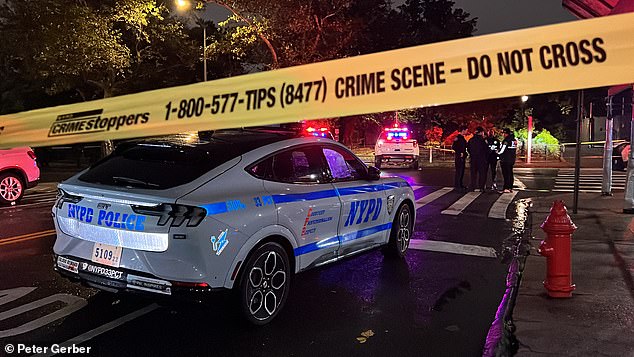 She was walking her dog with a male, who has yet to be identified, when the pair were shot in the head at 165th Street and Edgecombe Avenue in Washington Heights.