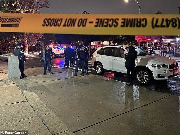 The dog lay lifeless on the sidewalk, surrounded by evidence markers showing at least eight shell casings