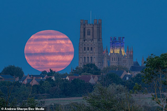 The Harvest Moon rises over Ely Cathedral in the Cambridgeshire Fens on Friday evening