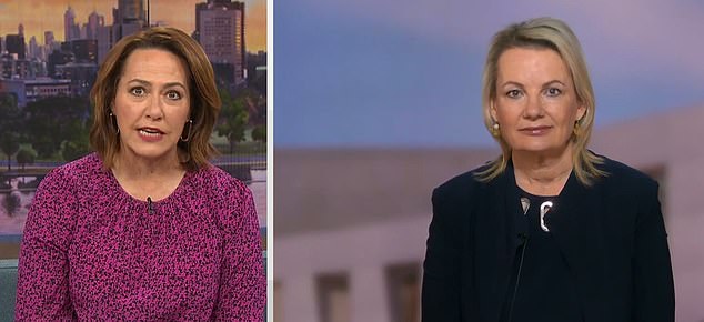 Deputy Opposition Leader Sussan Ley (right) was questioned by ABC presenter Lisa Millar (left) over a controversial image posted on social media by Peter Dutton of Voice Yes campaign manager Marcia Langton, who claimed she said No voters were racist and were stupid