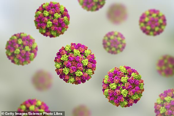 A 3D rendering of norovirus particles, the most common cause of gastroenteritis