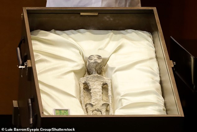 The mummified bodies were presented to photojournalists and delegates at the Mexican Congress