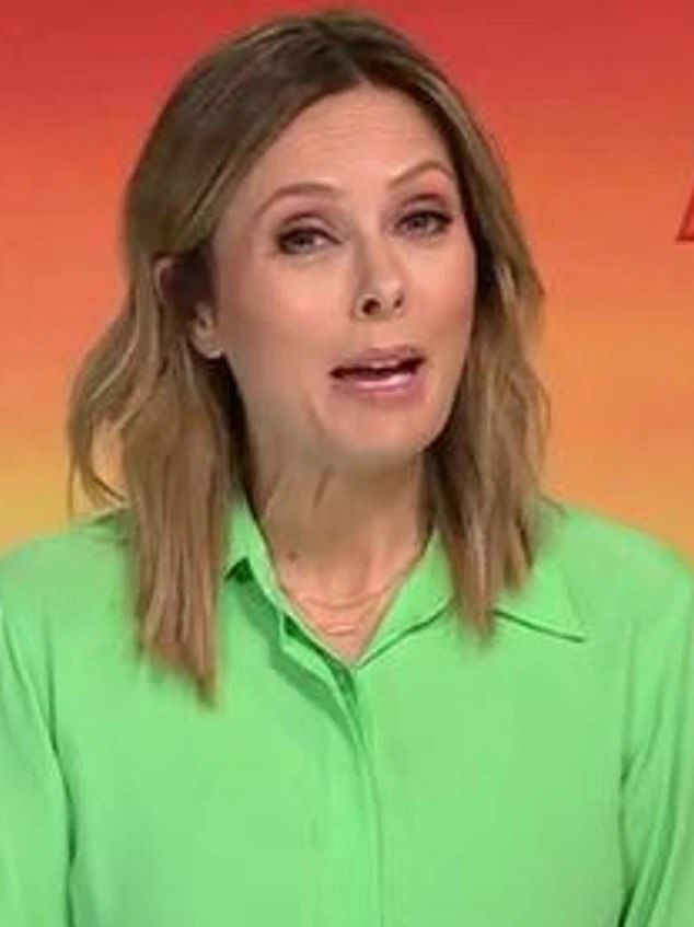 Allison Langdon slammed ABC TV presenter for naming her newborn son Methamphetamine Rules¿, leaving young mother shocked