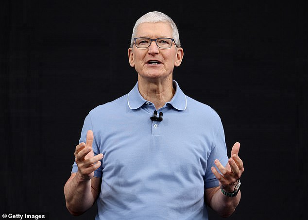 Apple's market value fell by more than $200 billion this week after reports that the Chinese government is cracking down on iPhone use.  Apple CEO Tim Cook is seen above
