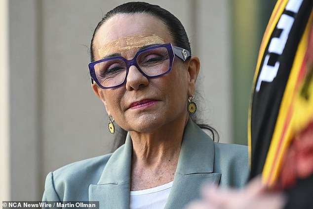 Minister for Indigenous Australians Linda Burney (pictured) said Senator Price's comments were being glossed over as the stolen generation