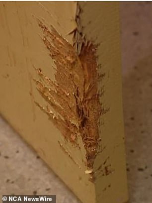 A family member reported seeing bite marks on the doors