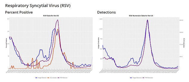 RSV infections cause approximately two million doctor visits, 80,000 hospitalizations and up to 300 deaths in children under five each year, according to the CDC.