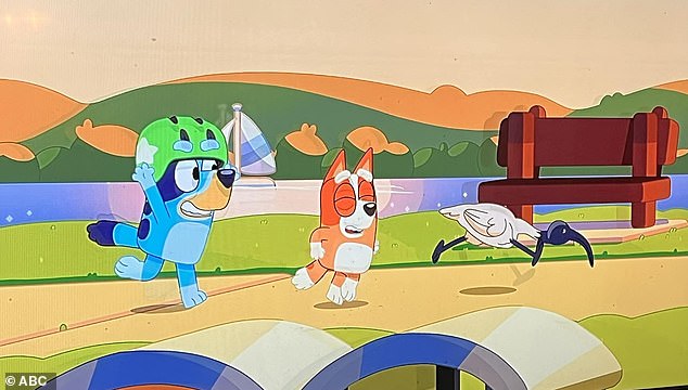 ABC children's television program Bluey is known to baffle international fans with its penchant for the beautiful cartoon characters using Australian slang.  In the photo: Bluey and Bingo are hunting an Ibis