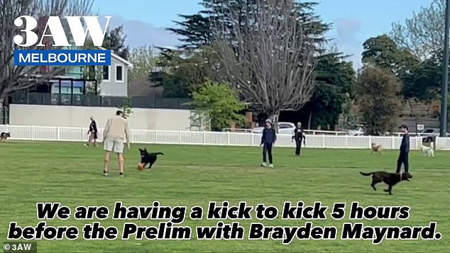 Maynard, left, took his dog for a walk when he said he was chasing the footy being kicked by two local boys - so the Collingwood star decided to join them