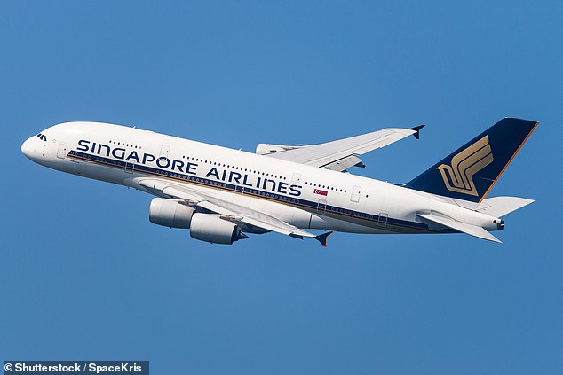 The dog sat next to the premium economy seats from New Zealand as they flew 13 hours from Paris to Singapore