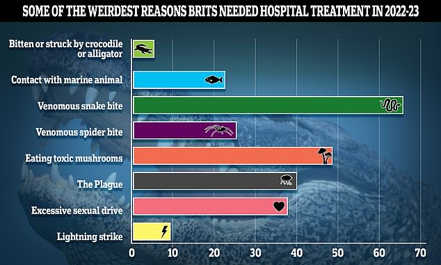 A host of strange illnesses and accidents sent Britons seeking NHS care last year