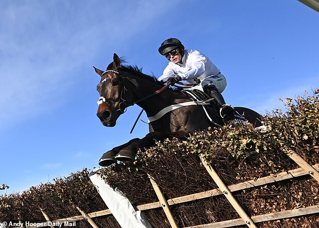 Constitution Hill runs away to win the Champion Hurdle at the Cheltenham Festival