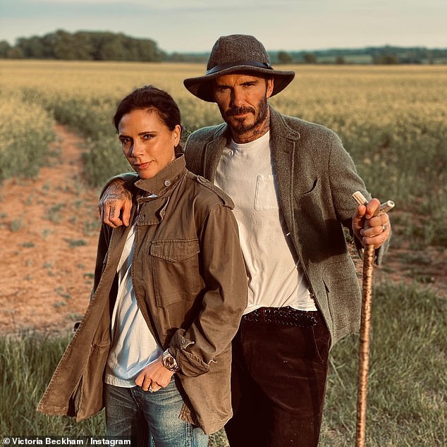 Success story: David and Victoria Beckham have reportedly been given the green light to turn a garden store into three home offices at their £12 million Cotswolds estate.