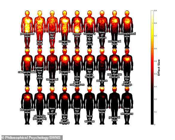 Scientists from Finland's Aalto University have identified 27 different types of love