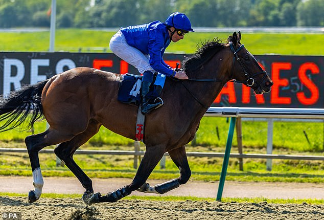 Military Order can spark a productive fall for Charlie by winning the Chester Stakes