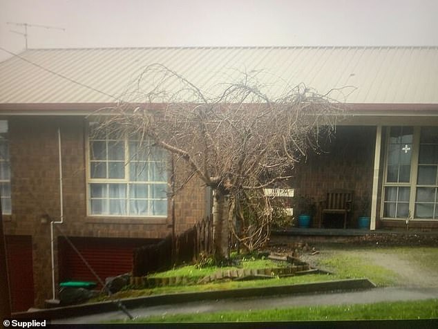 The house in Korumburra where a tradie said he took a picture of a 'death wall' covered in macabre imagery