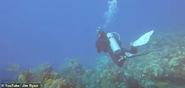 A group of divers in Nassau, Bahamas, were caught off guard when they heard a submarine's sonar for the first time