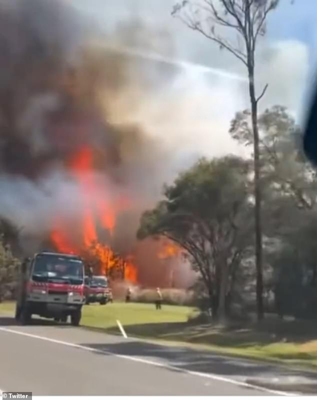 Australia is on alert for bushfires after the Bureau of Meteorology confirmed the start of an El Nino weather pattern, raising the chances of a sweltering hot and dry summer