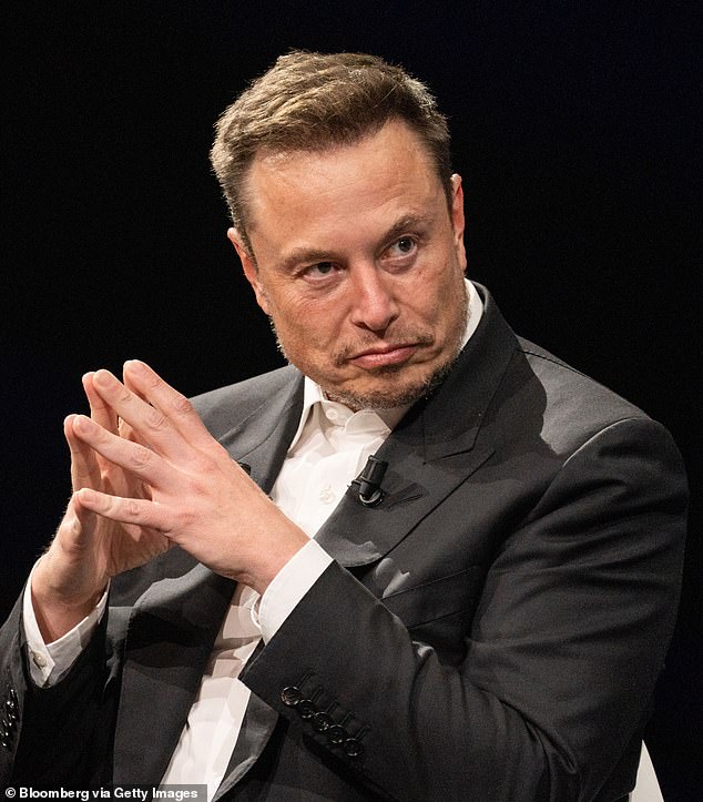 Elon Musk reveals he BACKS border wall and says migrants