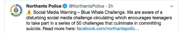 Experts issue warning to parents over Blue Whale suicide challenge