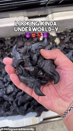 Sydney food blogger Adrian Widjy shared his shock after finding some strange items that resemble small bats in an Asian supermarket