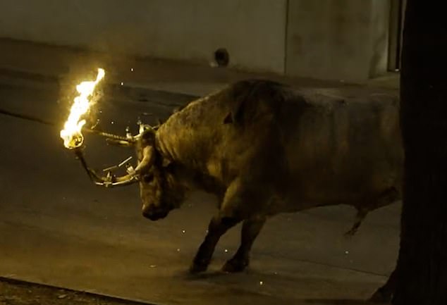 Gruesome images of a distressed bull with its horns on fire have led to calls for a ban on the Spanish tradition of bullfighting