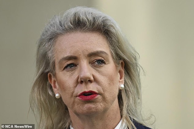 Coalition senator Bridget McKenzie (pictured) warned Mr Joyce he could face a 'whole raft of lawsuits' if he refuses to answer questions