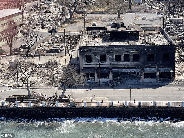 A handout photo made available by the Hawaii Department of Land and Natural Resources shows an aerial view of the aftermath of the Lahaina wildfires on Maui