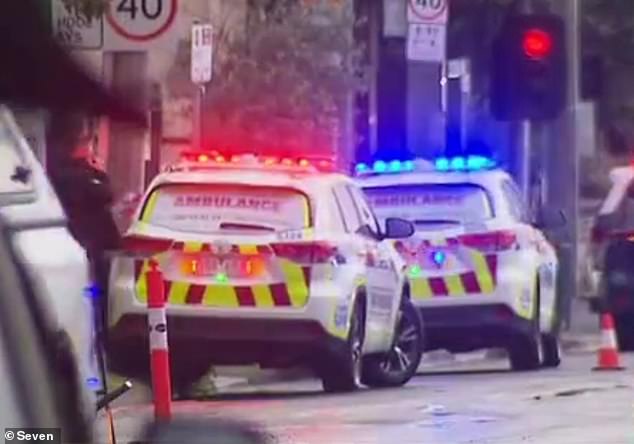 A teenage boy is fighting for his life after being forced into a car and stabbed during a suspected violent armed robbery (pictured, emergency services on scene)