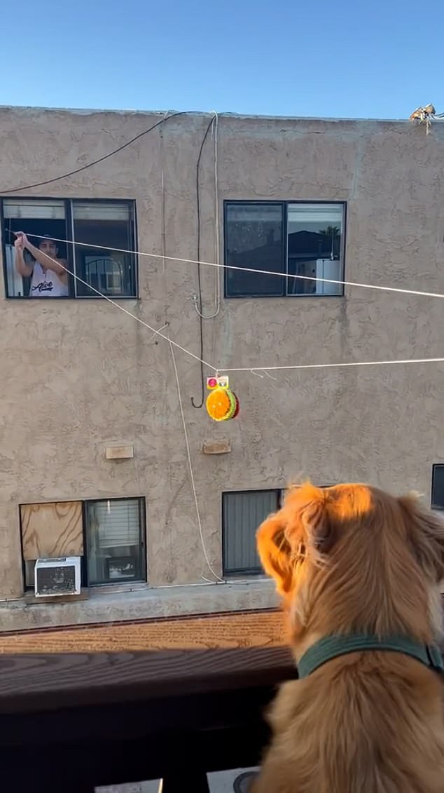 An adorable video of a man dispatching his neighbor's dog toys with a clothesline has been viewed by more than 200,000 people on TikTok