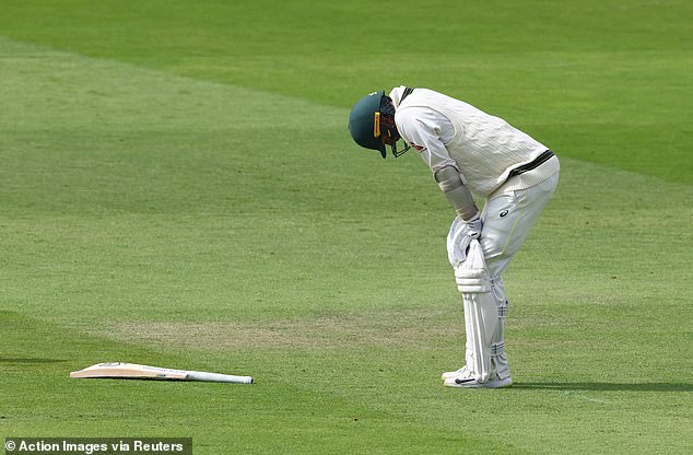 After the tear, Nathan Lyon came out at Lord's that June afternoon and tried to bat, which didn't end well