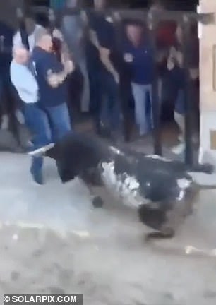 Footage of the tragedy showed the two men being lifted into the air by the bull after it was released onto the street in La Pobla de Fornals, near Valencia.