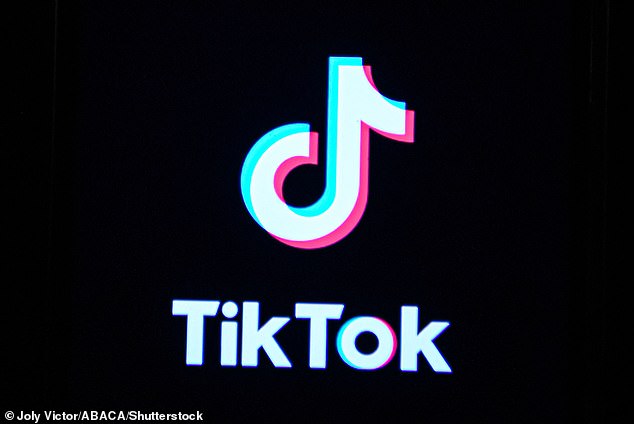 TikTok, developed by the Chinese ByteDance, stimulates Western political debate