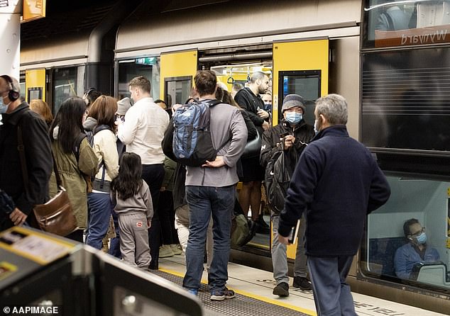 A record wave of immigration is making the average Australian poorer – and big banks richer – by obscuring the fact that the economy is already in an official recession, economists say (pictured is Sydney's Wynyard train station at rush hour)