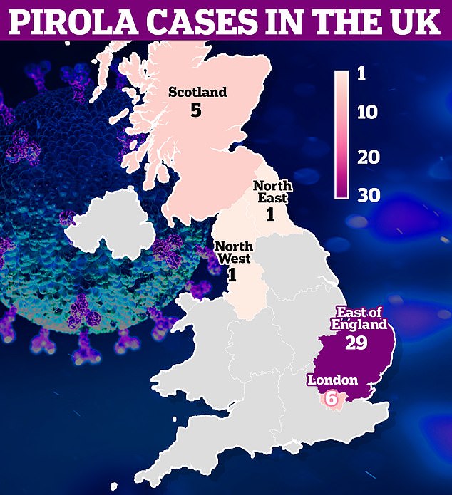 The UK Health Security Agency (UKHSA) has revealed where in Britain the new Covid variant, scientifically called BA.2.86, has been found.  The east of England had the highest number of cases thanks to the massive outbreak of 28 cases in Norfolk nursing homes at the end of August