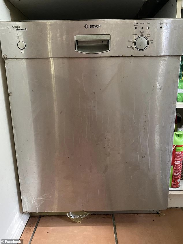 Before: The dishwasher worked, but the outside was covered in stains and buildup